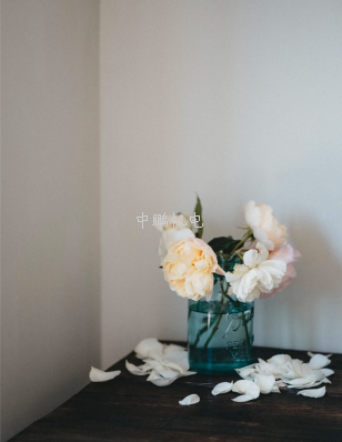 bsports必一登录入口