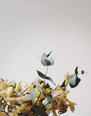 bsports必一登录入口