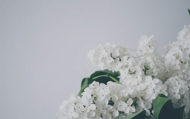 bsports必一登录入口